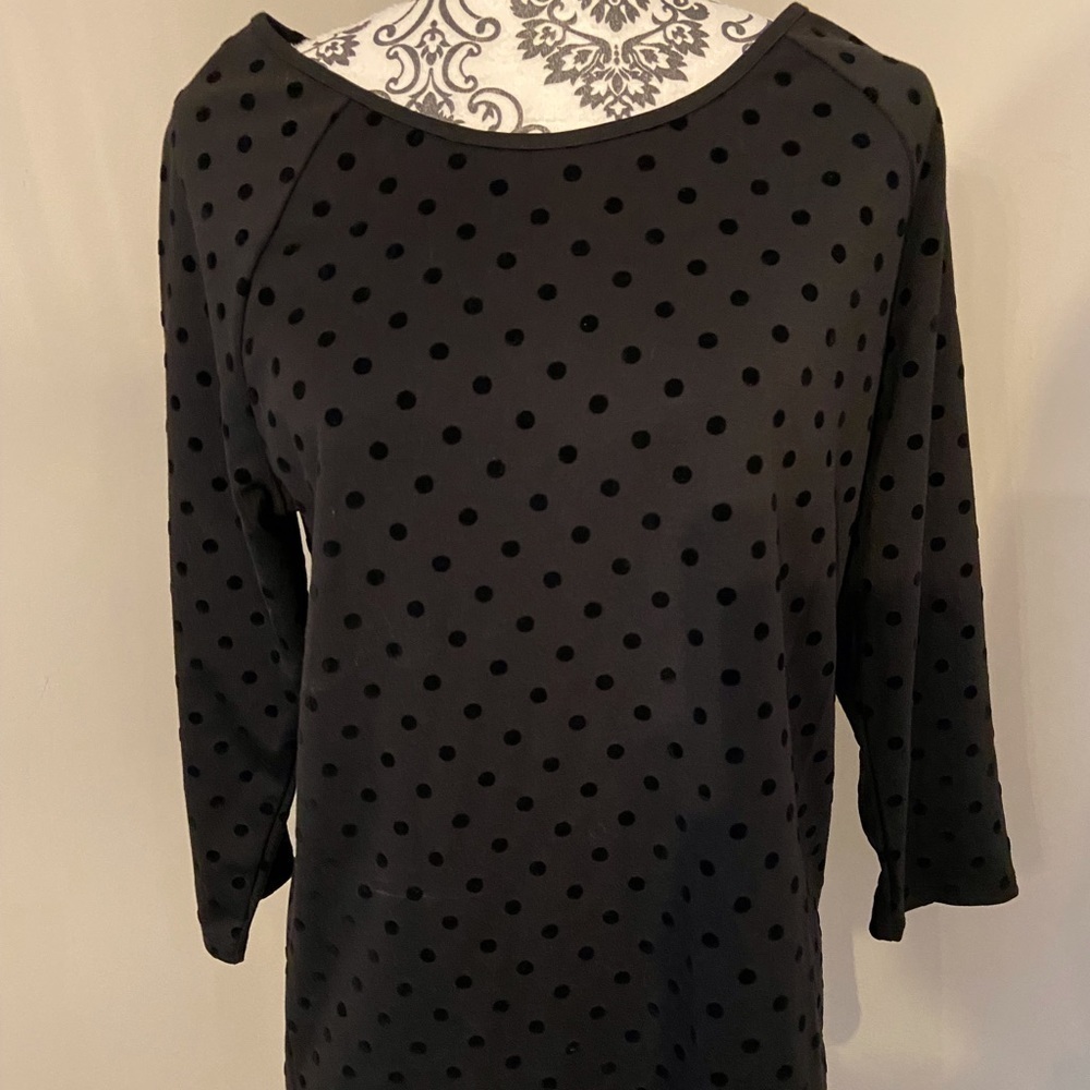 Ann Taylor Loft 3/4 sleeve polka dot top